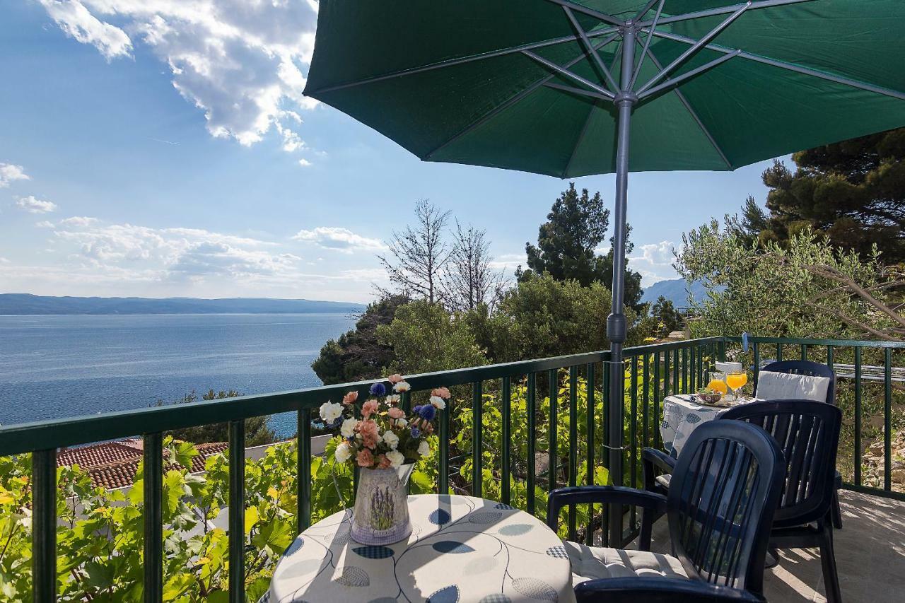 Apartman Zina Brela